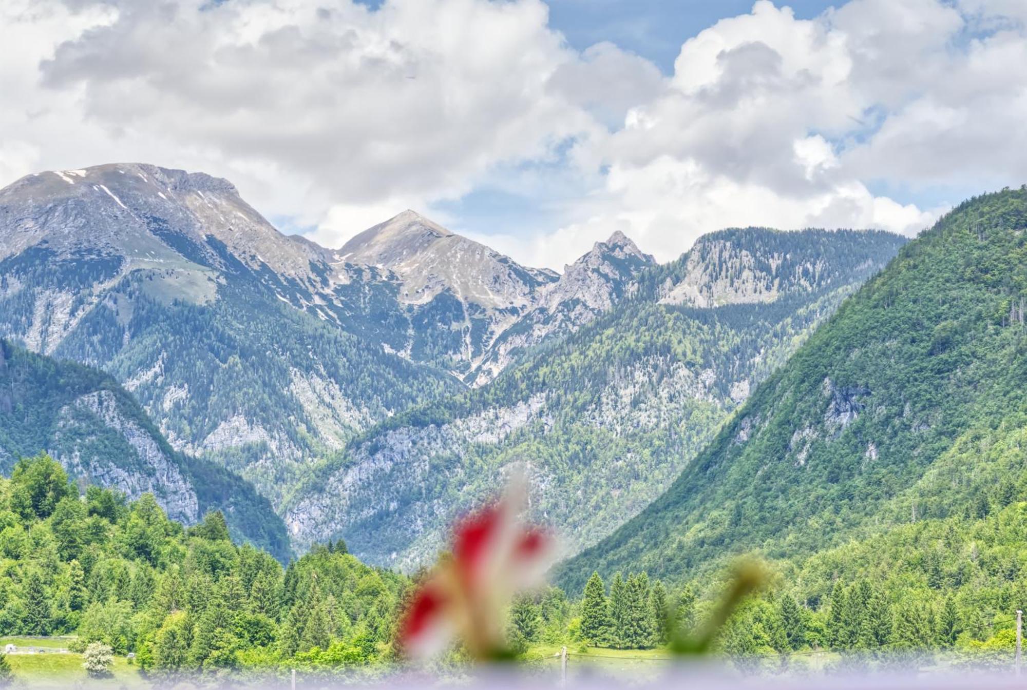 Apartments Kovacic Bohinj ภายนอก รูปภาพ
