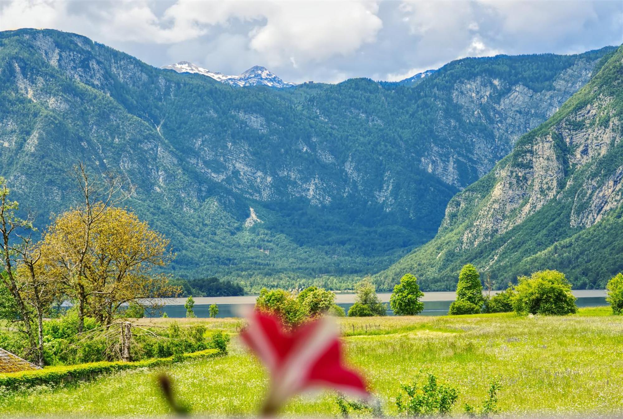 Apartments Kovacic Bohinj ภายนอก รูปภาพ